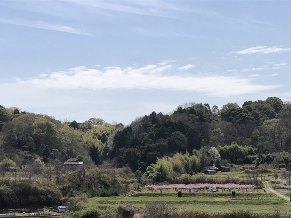 天野街道