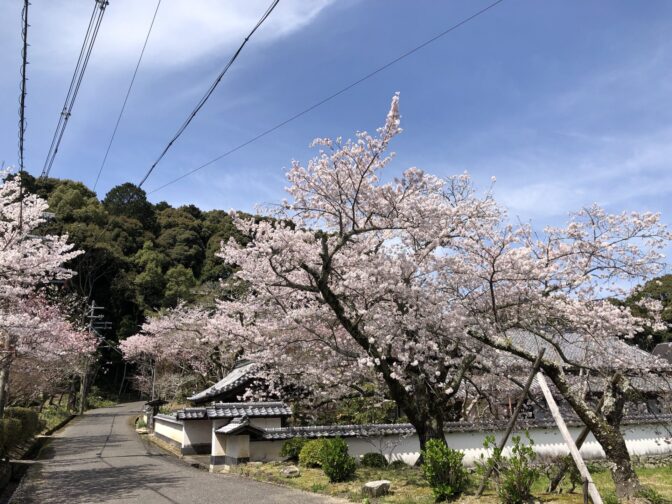 金剛寺