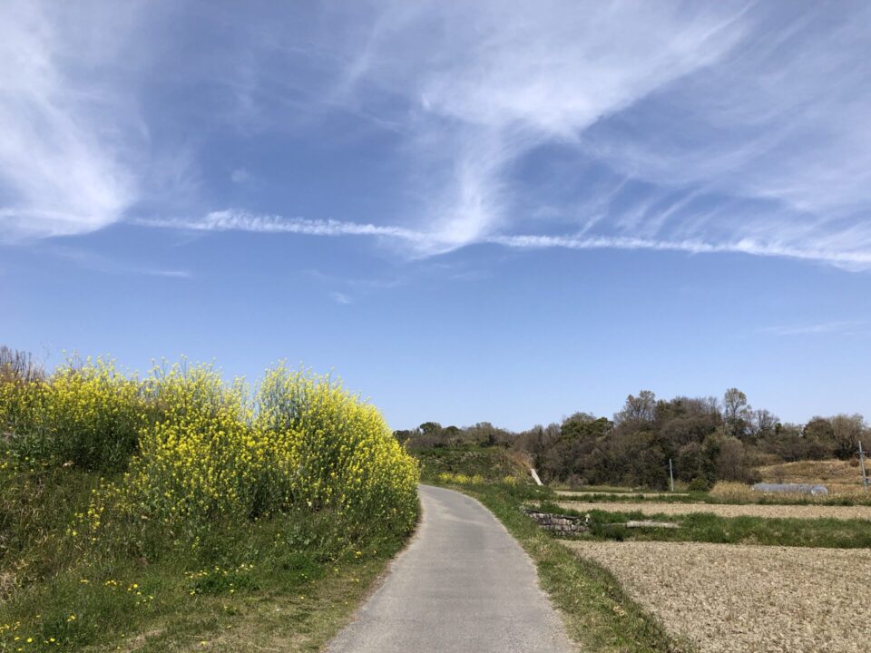 天野街道